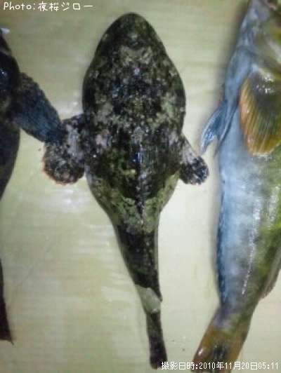 �ȥ�������