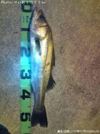 �����Х�