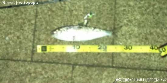 ���Υ���