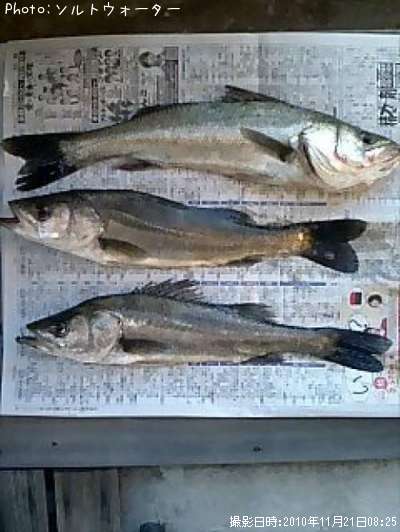 �����Х�