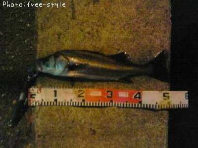 �ӣ��£���