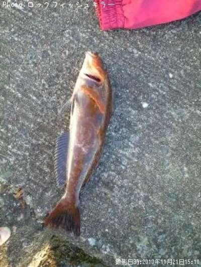 �����ʤ�