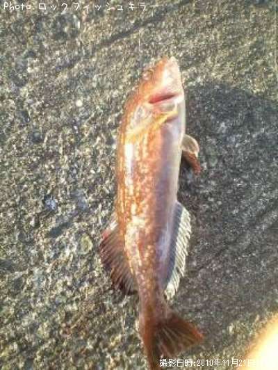 �����ʤ�