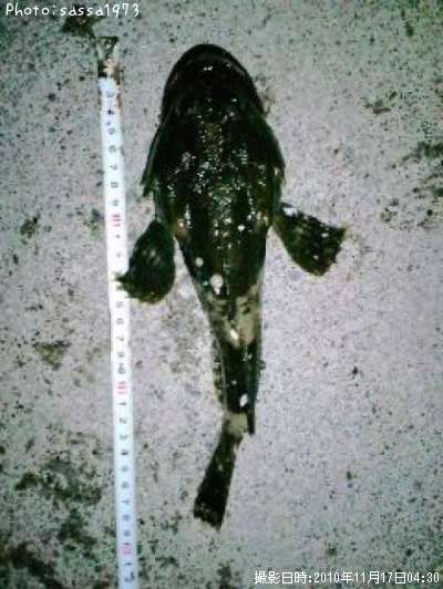 �ȥ�������