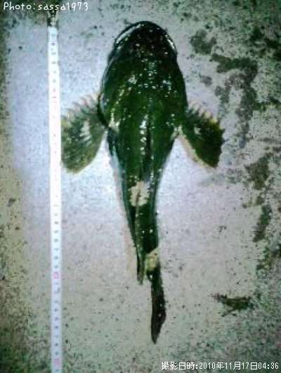 �ȥ�������