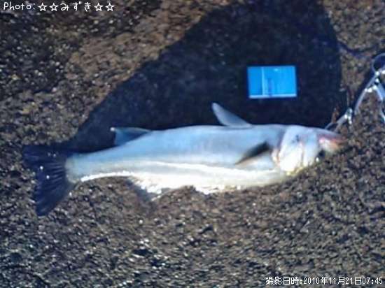 �����Х�