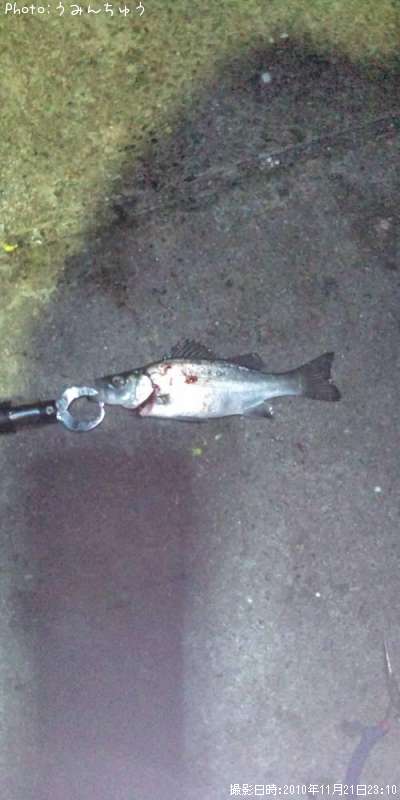 �����Х�