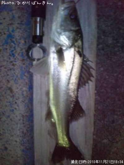 �����Х�