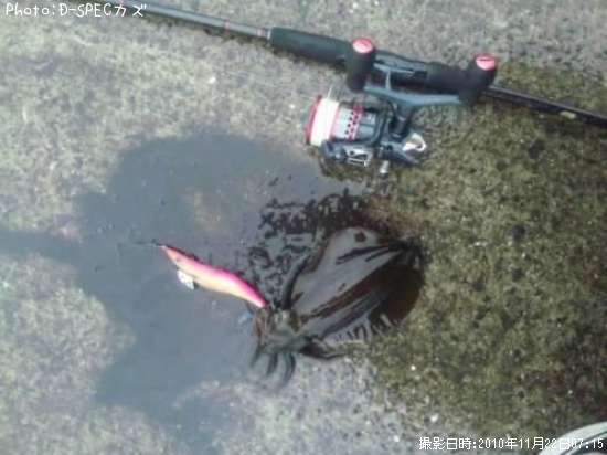 �����ꥤ��