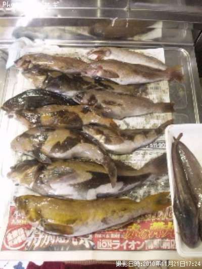 �����ʥ�