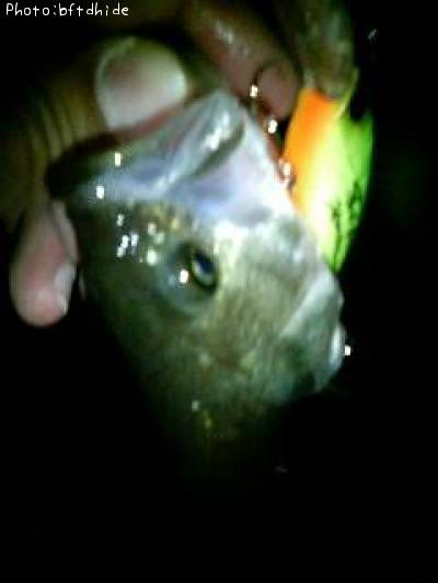 �֥�å��Х�