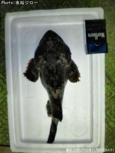 �ȥ�������