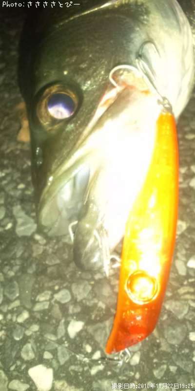 �����Х�