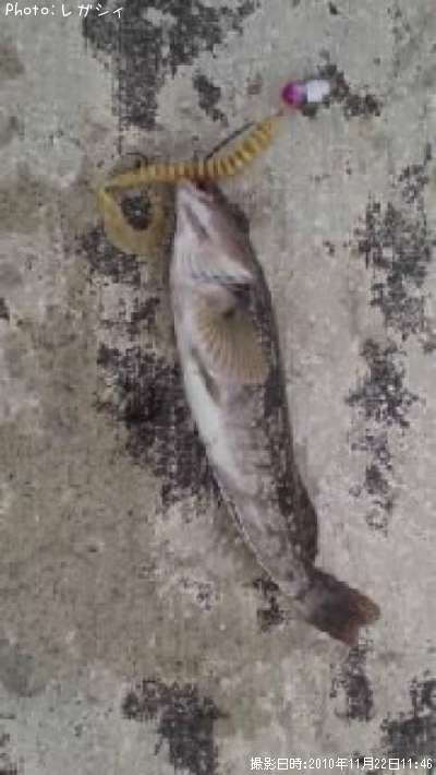 �����ʥ�