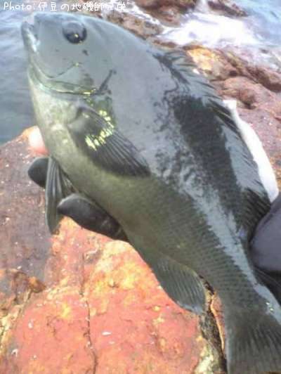 �����᥸��