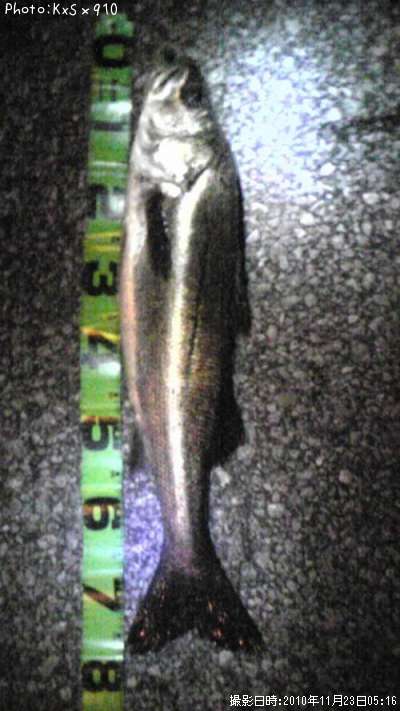 �����Х�