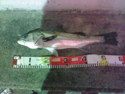 �ӣ��£���