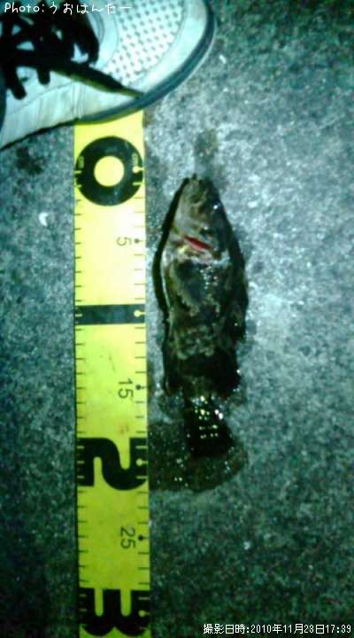 �����Υ���Х�