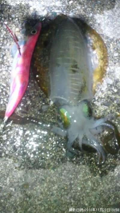 �����ꥤ��