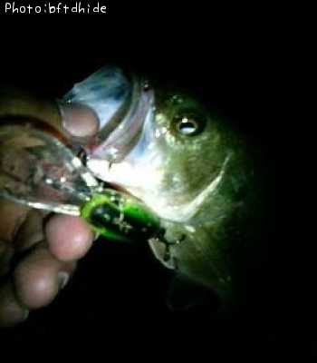 �֥�å��Х�