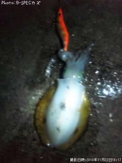 �����ꥤ��