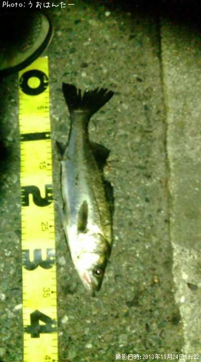 �����Х�