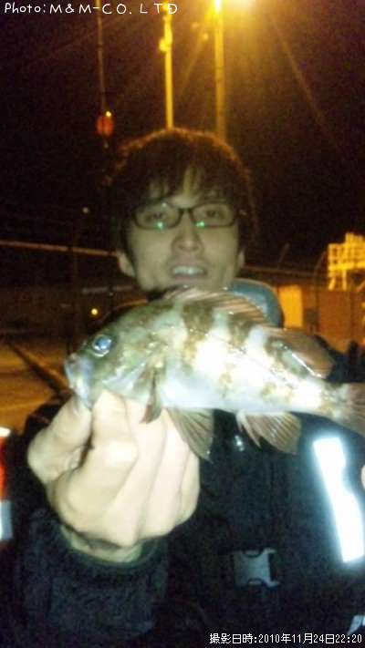 ��Х롢��������¾