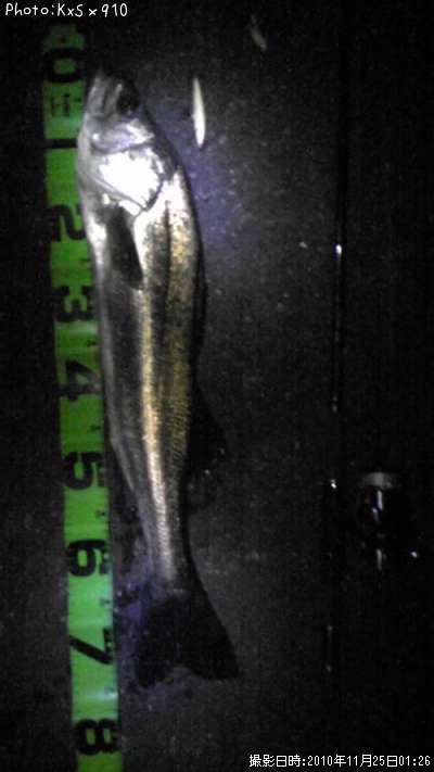 �����Х�