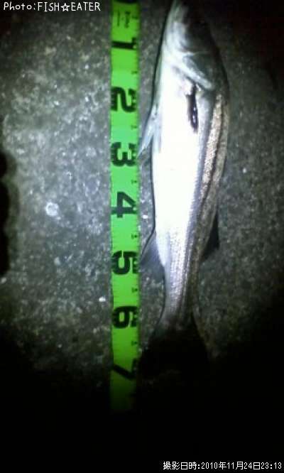 �����Х�