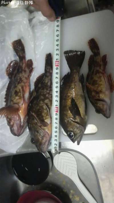 ��Х��������