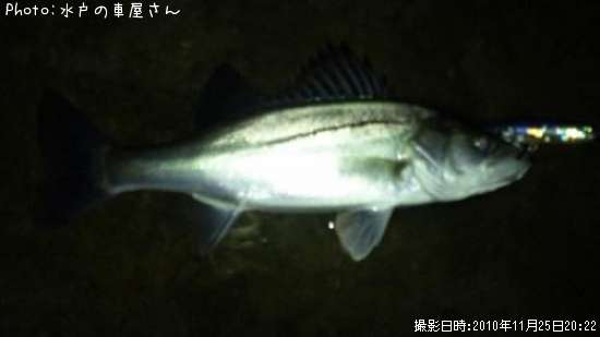 �����Х�