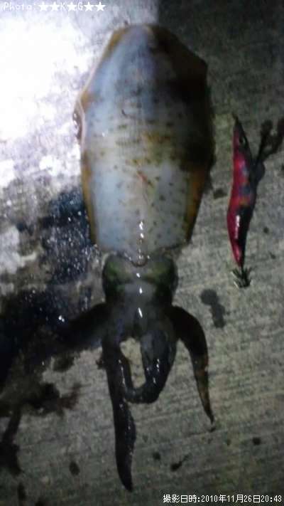 �����ꥤ��