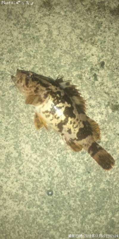 �����Υ���Х�