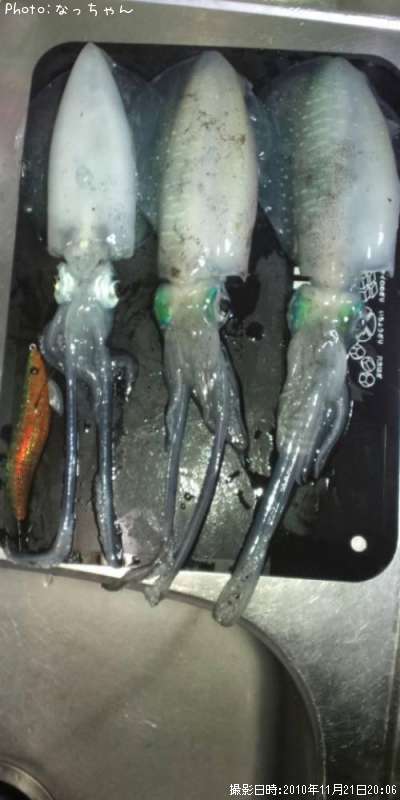 �����ꥤ��