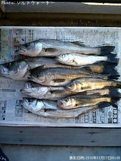 �����Х�