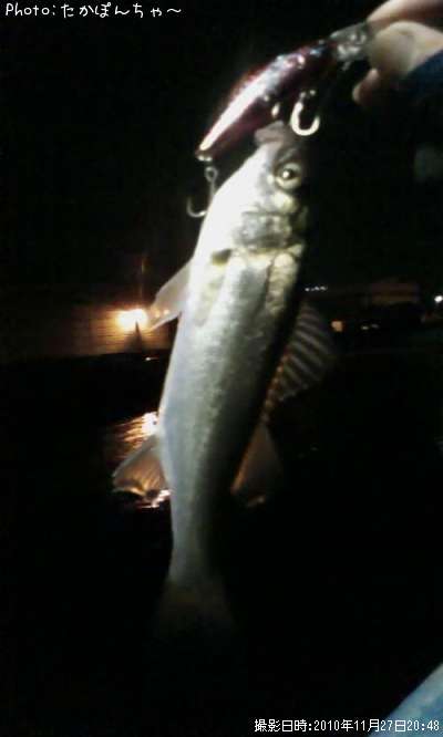 �����Х�