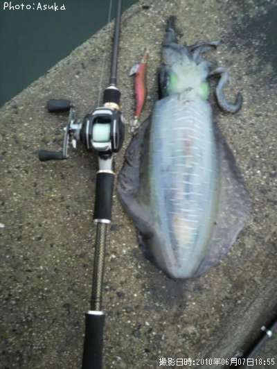 �����ꥤ��