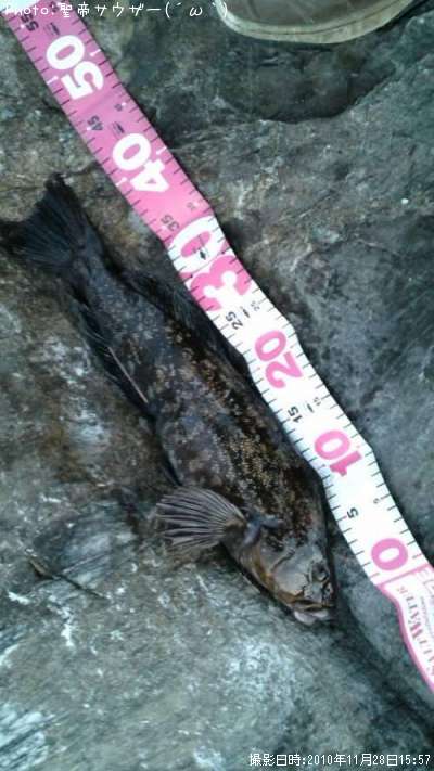 �����ʥ�