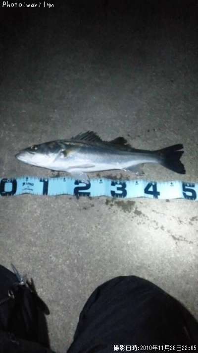 �����Х�