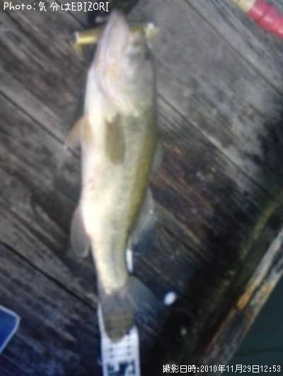 �֥�å��Х�