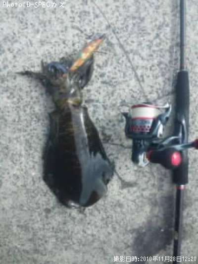 �����ꥤ��