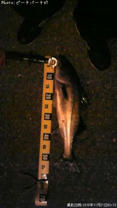 �����Х�