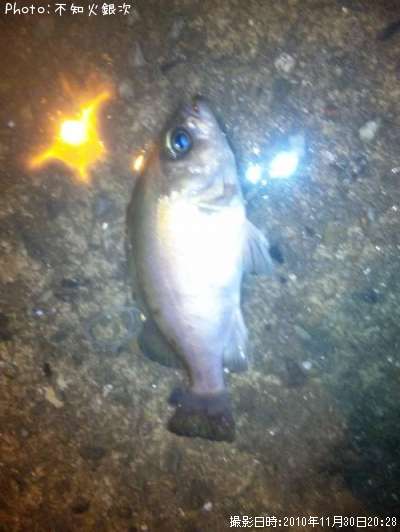 ������Х�