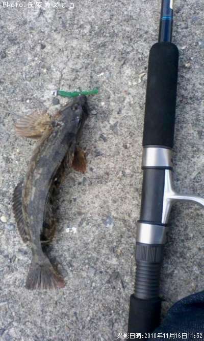 �����ʥ�