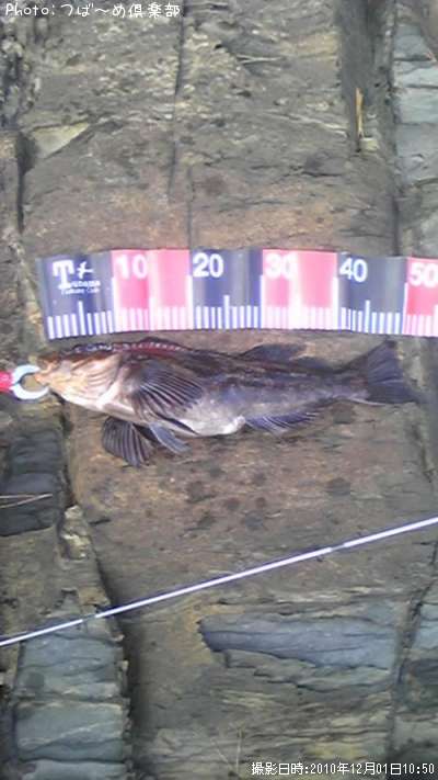 �����ʥ�