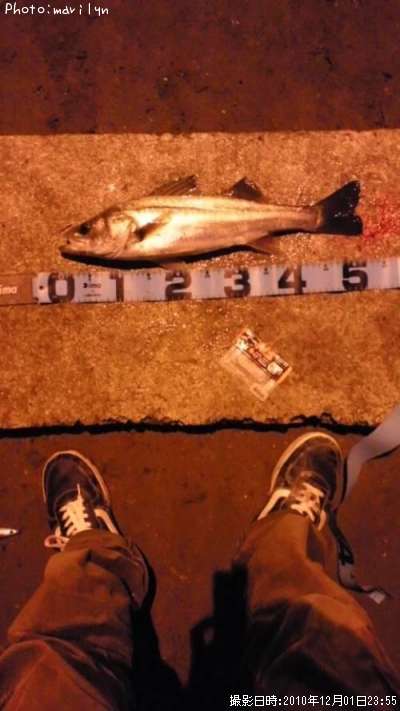 �����Х�