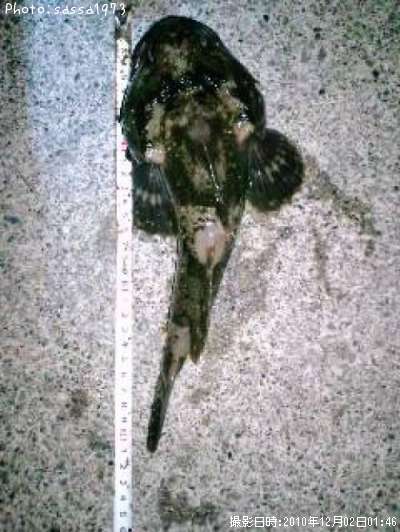 �ȥ�������