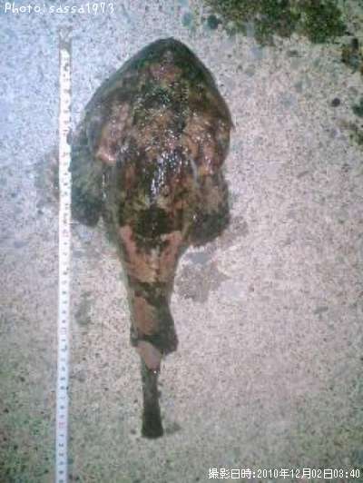 �ȥ�������