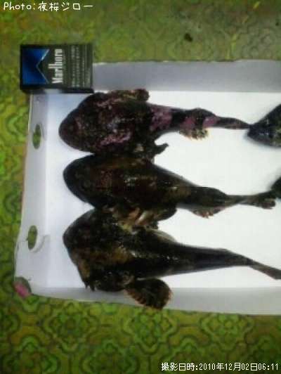 �ȥ�������