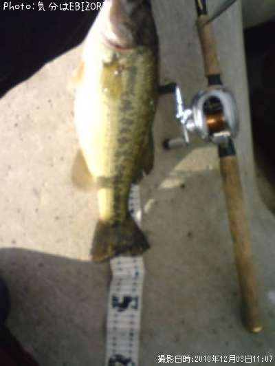 �֥�å��Х�